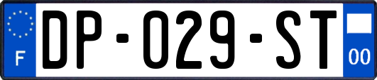 DP-029-ST