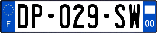 DP-029-SW