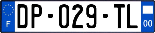 DP-029-TL