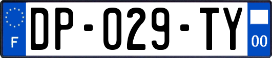 DP-029-TY