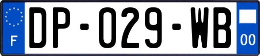 DP-029-WB