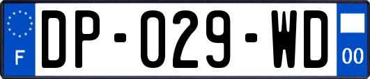DP-029-WD