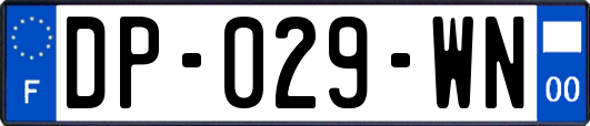 DP-029-WN