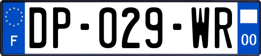 DP-029-WR