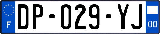 DP-029-YJ