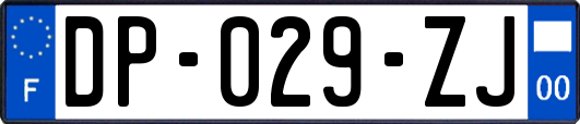 DP-029-ZJ