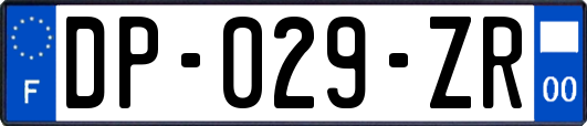 DP-029-ZR