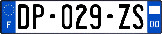 DP-029-ZS