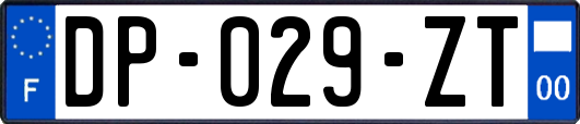 DP-029-ZT