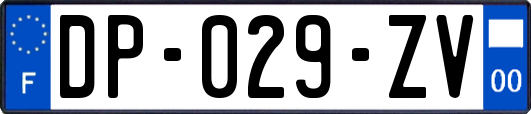 DP-029-ZV