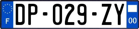 DP-029-ZY