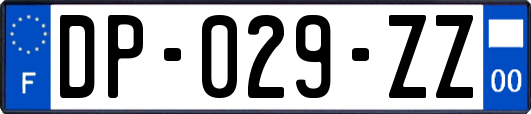 DP-029-ZZ