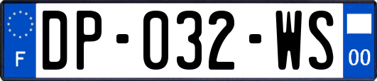 DP-032-WS