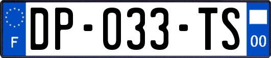 DP-033-TS