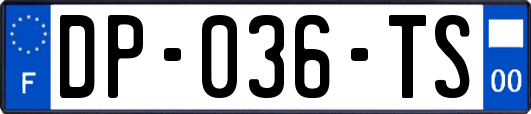 DP-036-TS