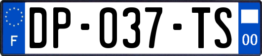 DP-037-TS