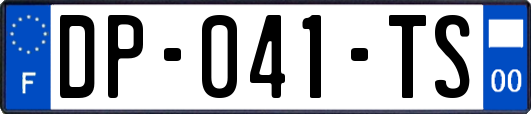 DP-041-TS