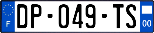 DP-049-TS