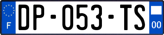 DP-053-TS