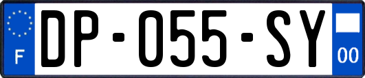 DP-055-SY