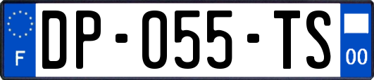 DP-055-TS