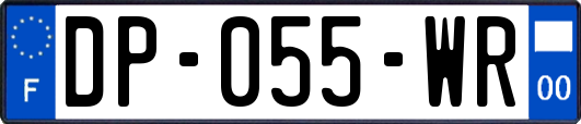 DP-055-WR