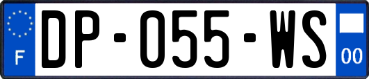 DP-055-WS