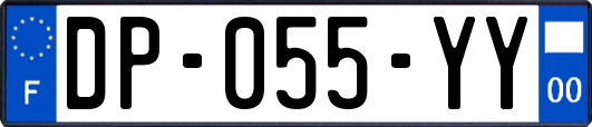 DP-055-YY