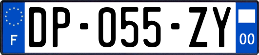 DP-055-ZY