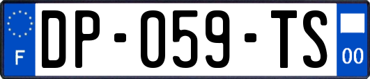 DP-059-TS