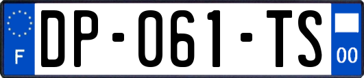 DP-061-TS