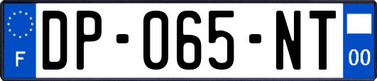 DP-065-NT
