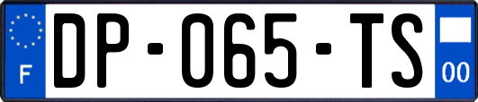 DP-065-TS