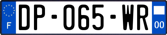 DP-065-WR