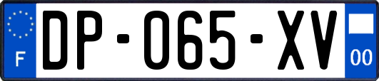 DP-065-XV