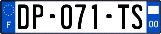 DP-071-TS