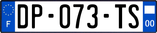 DP-073-TS