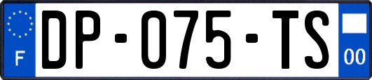 DP-075-TS