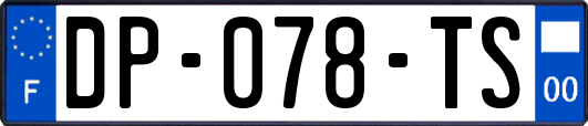 DP-078-TS