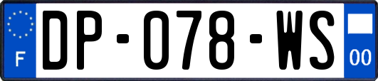 DP-078-WS