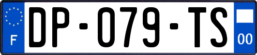 DP-079-TS