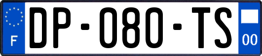 DP-080-TS