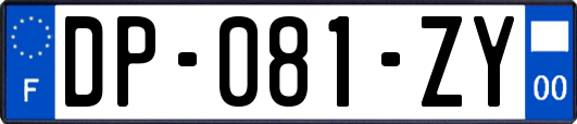 DP-081-ZY