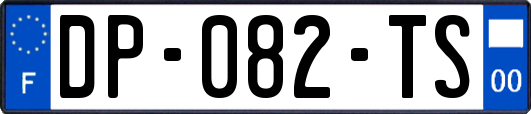 DP-082-TS