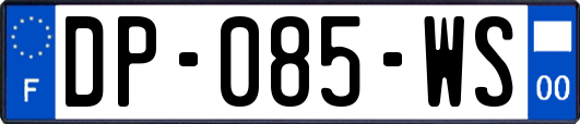 DP-085-WS