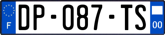 DP-087-TS