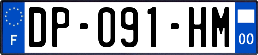 DP-091-HM