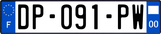 DP-091-PW