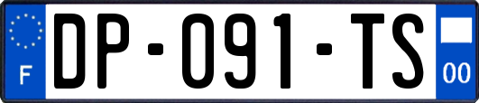 DP-091-TS