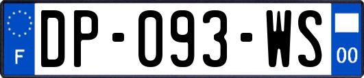 DP-093-WS